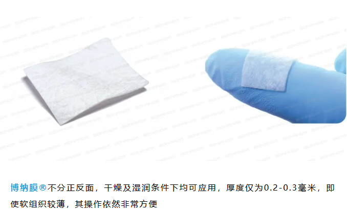 博纳膜 1920 1.png